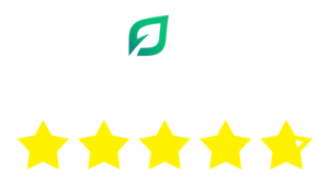 Lendingtree Review Paramount Bank Four Point Nine out of Five Stars